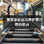 夏季家庭盆花养护要注意的要点（图4）