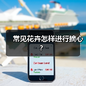 常见花卉怎样进行摘心？（图2）