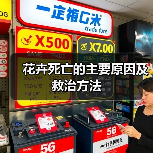 花卉死亡的主要原因及救治方法(图2) 花卉死亡的主要原因及救治方法(图2)