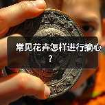 常见花卉怎样进行摘心？（图3）