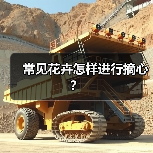 常见花卉怎样进行摘心？（图4）