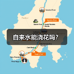 自来水能浇花吗？（图4）
