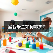 盆栽米兰如何养护?(图1) 盆栽米兰如何养护?(图1)