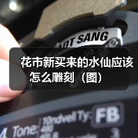 花市新买来的水仙应该怎么雕刻（图）（图3）