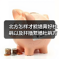 北方怎样才能培育好杜鹃以及扦插繁殖杜鹃方法(图1) 北方怎样才能培育好杜鹃以及扦插繁殖杜鹃方法(图1)