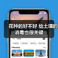 花种的好不好 给土壤的消毒也很关键(图2) 花种的好不好 给土壤的消毒也很关键(图2)