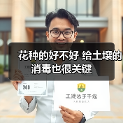 花种的好不好 给土壤的消毒也很关键(图3) 花种的好不好 给土壤的消毒也很关键(图3)