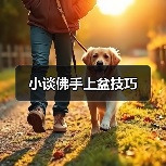 小谈佛手上盆技巧(图4) 小谈佛手上盆技巧(图4)