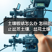 土壤板结怎么办 怎样防止盆景土壤、盆花土壤板结?(图2) 土壤板结怎么办 怎样防止盆景土壤、盆花土壤板结?(图2)