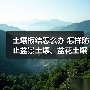土壤板结怎么办 怎样防止盆景土壤、盆花土壤板结?(图1) 土壤板结怎么办 怎样防止盆景土壤、盆花土壤板结?(图1)