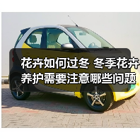 花卉如何过冬 冬季花卉养护需要注意哪些问题(图2) 花卉如何过冬 冬季花卉养护需要注意哪些问题(图2)