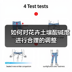 如何对花卉土壤酸碱度进行合理的调整(图4) 如何对花卉土壤酸碱度进行合理的调整(图4)