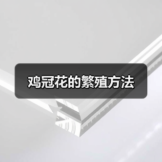 鸡冠花的繁殖方法(图3) 鸡冠花的繁殖方法(图3)