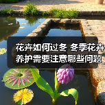 花卉如何过冬 冬季花卉养护需要注意哪些问题(图1) 花卉如何过冬 冬季花卉养护需要注意哪些问题(图1)
