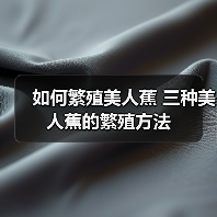 如何繁殖美人蕉 三种美人蕉的繁殖方法(图2) 如何繁殖美人蕉 三种美人蕉的繁殖方法(图2)
