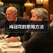鸡冠花的繁殖方法(图4) 鸡冠花的繁殖方法(图4)