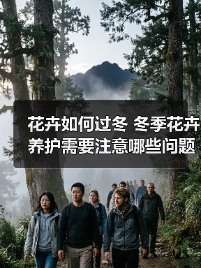 花卉如何过冬 冬季花卉养护需要注意哪些问题(图3) 花卉如何过冬 冬季花卉养护需要注意哪些问题(图3)