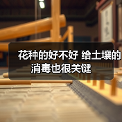花种的好不好 给土壤的消毒也很关键(图1) 花种的好不好 给土壤的消毒也很关键(图1)