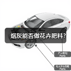 烟灰能否做花卉肥料?(图3) 烟灰能否做花卉肥料?(图3)