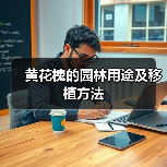 黄花槐的园林用途及移植方法(图4) 黄花槐的园林用途及移植方法(图4)