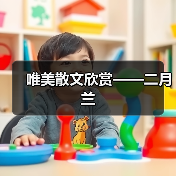 唯美散文欣赏——二月兰(图1) 唯美散文欣赏——二月兰(图1)