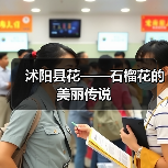沭阳县花——石榴花的美丽传说(图2) 沭阳县花——石榴花的美丽传说(图2)