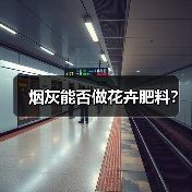 烟灰能否做花卉肥料?(图4) 烟灰能否做花卉肥料?(图4)