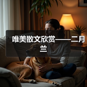 唯美散文欣赏——二月兰(图2) 唯美散文欣赏——二月兰(图2)