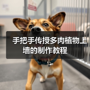 手把手传授多肉植物上墙的制作教程(图2) 手把手传授多肉植物上墙的制作教程(图2)