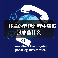 球兰的养殖过程中应该注意些什么(图4) 球兰的养殖过程中应该注意些什么(图4)