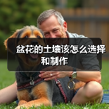 盆花的土壤该怎么选择和制作(图1) 盆花的土壤该怎么选择和制作(图1)