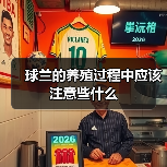 球兰的养殖过程中应该注意些什么(图2) 球兰的养殖过程中应该注意些什么(图2)