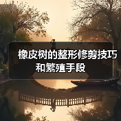 橡皮树的整形修剪技巧和繁殖手段(图2) 橡皮树的整形修剪技巧和繁殖手段(图2)