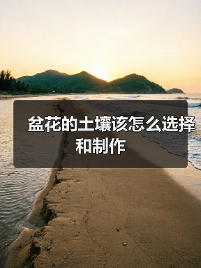 盆花的土壤该怎么选择和制作(图2) 盆花的土壤该怎么选择和制作(图2)