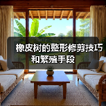 橡皮树的整形修剪技巧和繁殖手段(图3) 橡皮树的整形修剪技巧和繁殖手段(图3)