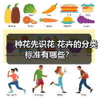 种花先识花 花卉的分类标准有哪些?(图4) 种花先识花 花卉的分类标准有哪些?(图4)