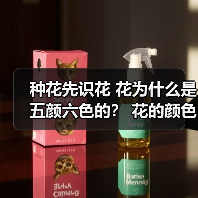 种花先识花 花为什么是五颜六色的? 花的颜色共有多少种 什么颜色的花最多(图3) 种花先识花 花为什么是五颜六色的? 花的颜色共有多少种 什么颜色的花最多(图3)