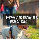 种花先识花 花卉的分类标准有哪些?(图2) 种花先识花 花卉的分类标准有哪些?(图2)