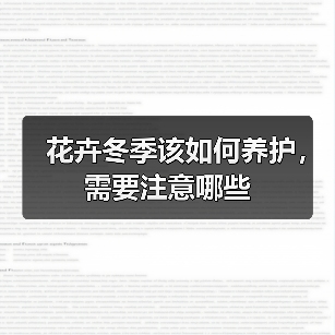 花卉冬季该如何养护,需要注意哪些(图3) 花卉冬季该如何养护,需要注意哪些(图3)
