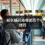 延长插花寿命的五个小技巧(图1) 延长插花寿命的五个小技巧(图1)