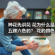 种花先识花 花为什么是五颜六色的? 花的颜色共有多少种 什么颜色的花最多(图2) 种花先识花 花为什么是五颜六色的? 花的颜色共有多少种 什么颜色的花最多(图2)