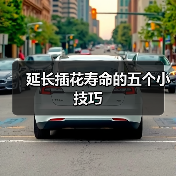 延长插花寿命的五个小技巧(图4) 延长插花寿命的五个小技巧(图4)