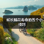 延长插花寿命的五个小技巧(图3) 延长插花寿命的五个小技巧(图3)