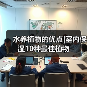 水养植物的优点|室内保湿10种最佳植物（图3）