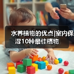 水养植物的优点|室内保湿10种最佳植物（图2）