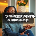 水养植物的优点|室内保湿10种最佳植物（图1）