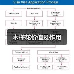 木槿花价值及作用(图4) 木槿花价值及作用(图4)