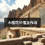 木槿花价值及作用(图3) 木槿花价值及作用(图3)