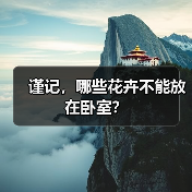 谨记,哪些花卉不能放在卧室?(图1) 谨记,哪些花卉不能放在卧室?(图1)