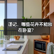 谨记,哪些花卉不能放在卧室?(图4) 谨记,哪些花卉不能放在卧室?(图4)